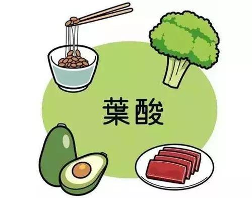 备孕期间男人需要补充叶酸吗,备孕什么时候吃叶酸最合适