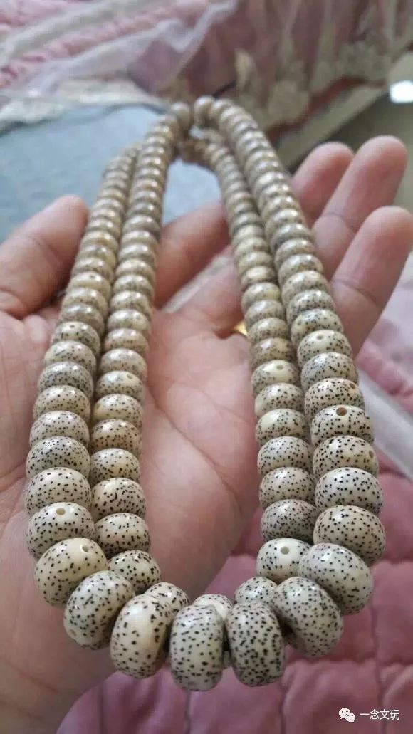 星月菩提灰透正确盘玩方法,星月菩提放黄了如何盘玩和保养