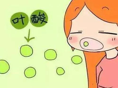 备孕期间男人需要补充叶酸吗,备孕什么时候吃叶酸最合适