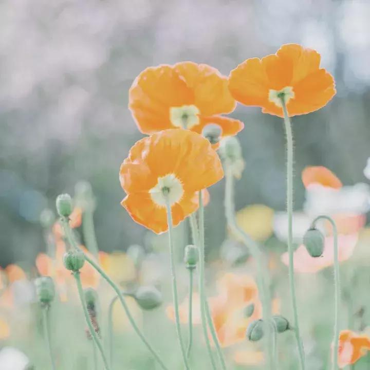 你最缺的，其实是“爱商”