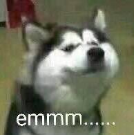 古天乐版的鹿鼎记韩栋版,寻秦记电视剧古天乐粤语版