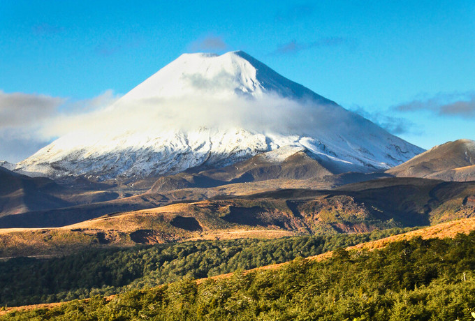必点海鲜夜市,哪里的夜市海鲜比较多
