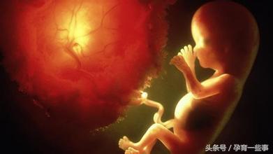 脐带异常，孕妈妈的必备知识