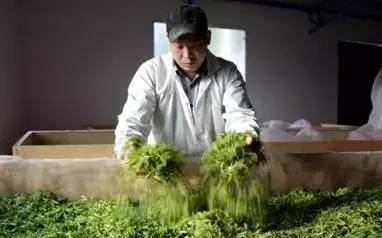 想创业没有资金怎么找人投资,借贷创业可行吗