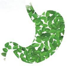 胃大怎么减最快最有效饭后,胃不好瘦了要怎么控制