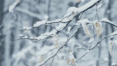 鍦熺獞閿＄焊鐑ч浮,闀挎槬姝ｅ畻鍦熺獞鐑ч浮