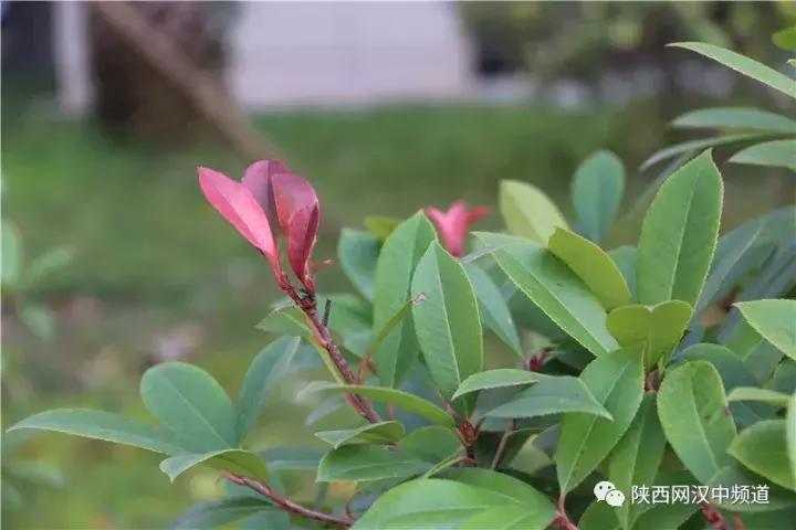 天气这么好，去汉中堂宏广场逛逛！