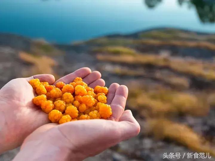 一杯7万，唐家三少喝的百年威士忌居然是假货