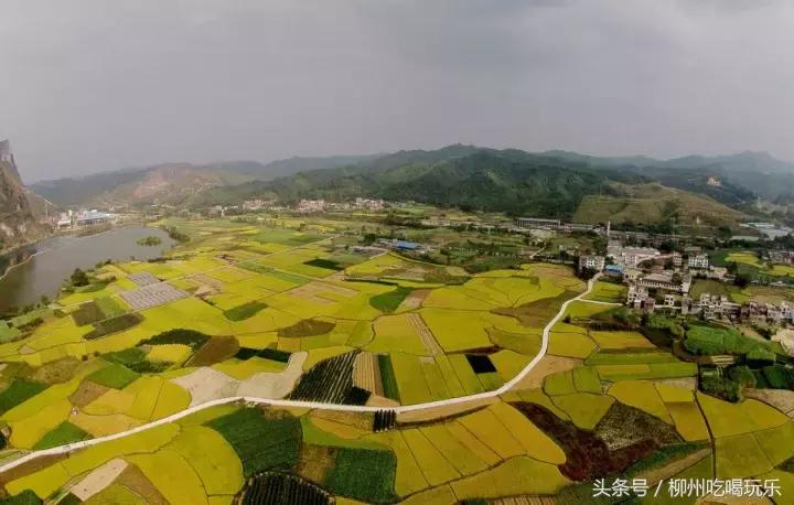 融安有望成为中心城市吗,广西融安县发展规划情况