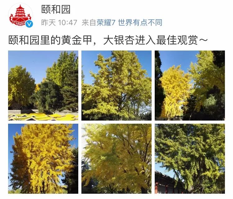 京城赏秋打卡胜地,京城赏荷最佳路线图