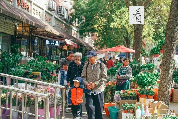 天津宝鸡道花鸟鱼虫市场鹦鹉全吗,天津市宝鸡道花鸟鱼虫市场文玩