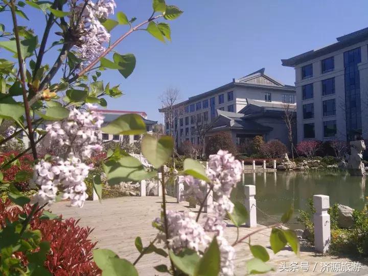 济源中州国际饭店,小浪底中州国际饭店怎么样