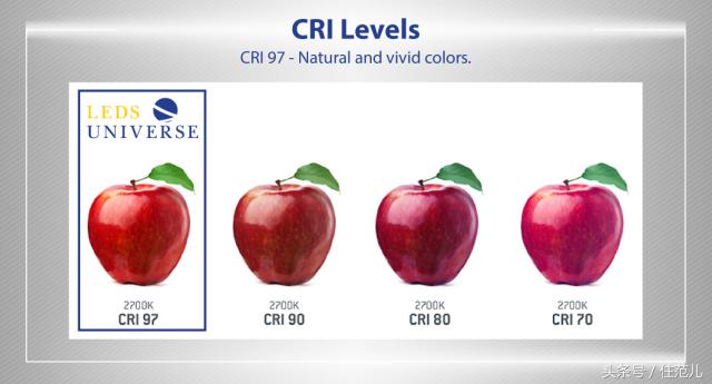 十个最值得入住的酒店,十大值得入住的酒店