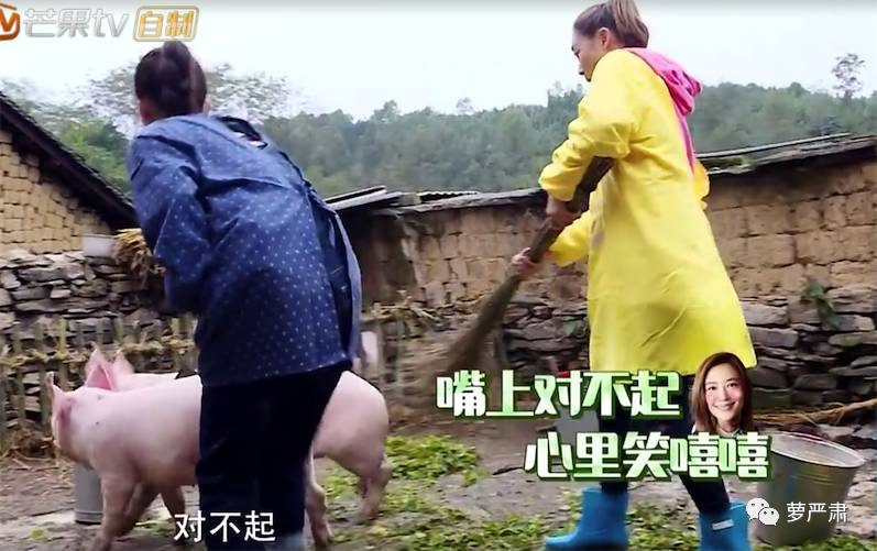 应采儿jasper为陈小春应援 (jasper看应采儿亲陈小春的眼神)