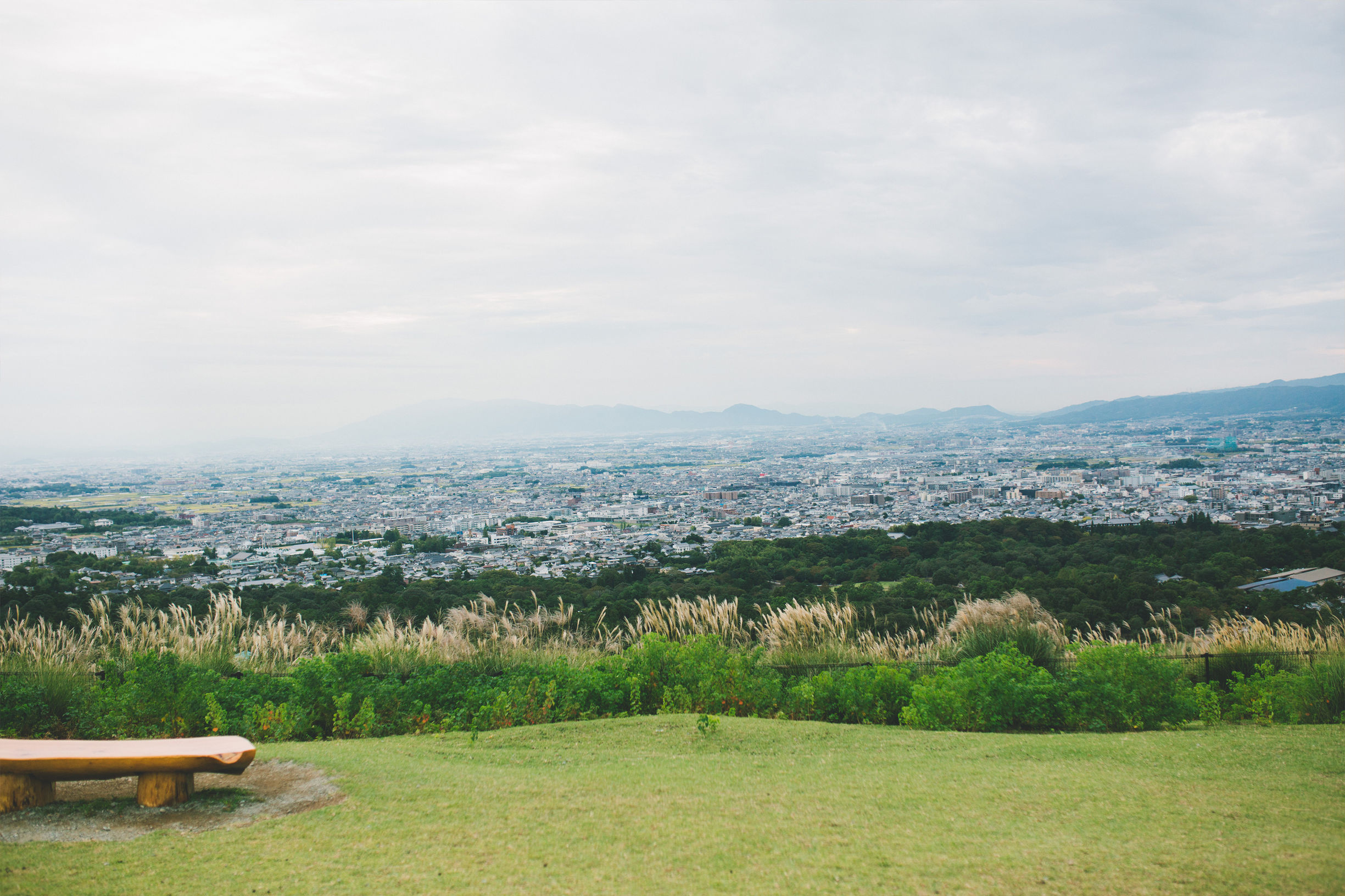 日本旅行攻略自由行,日本自由行视频攻略