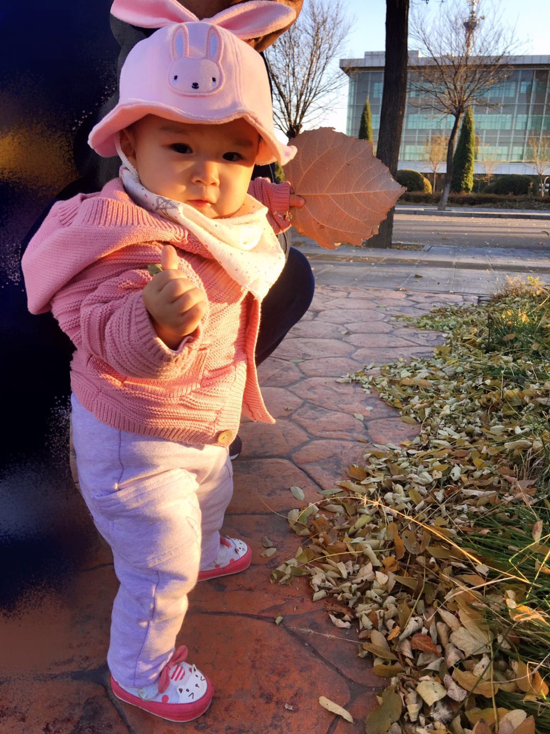 手机摄影作品也可以美不胜收,秋天手机摄影作品欣赏