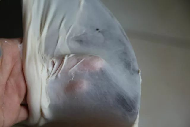 做面包什么牌子的面粉好,做面包最好的面粉牌子