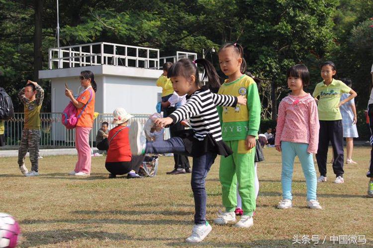 雄鹰少儿足球,雄鹰足球小将