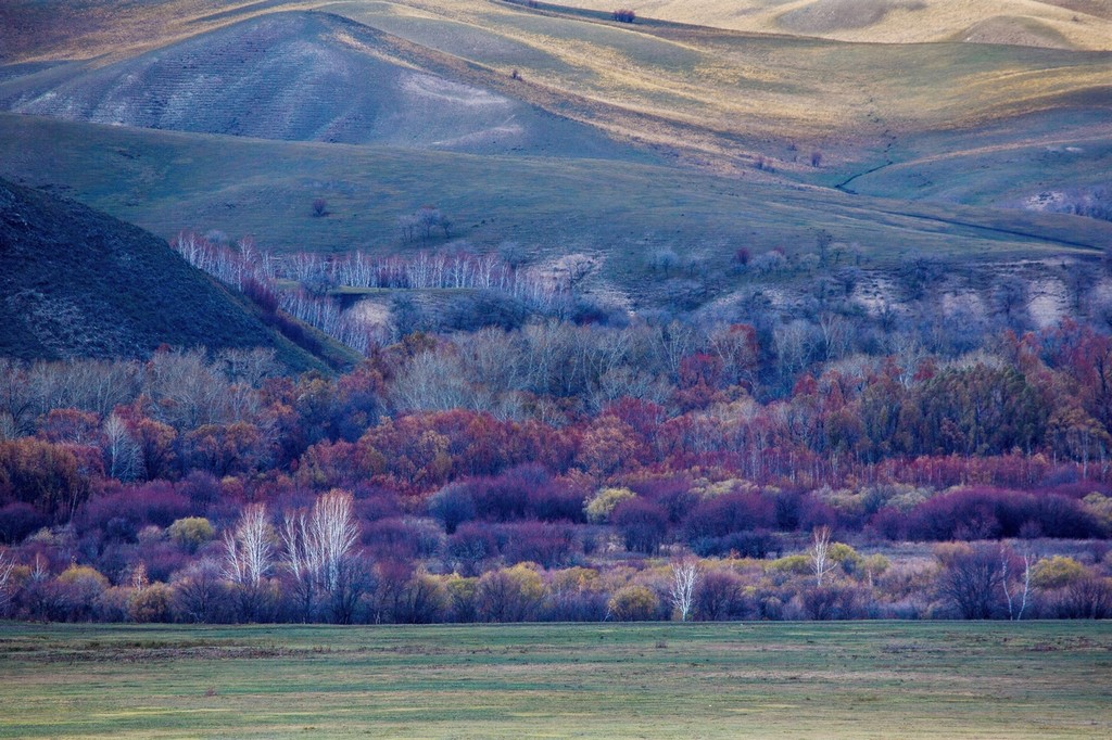 晚秋的草原美景,呼伦贝尔草原晚秋美景