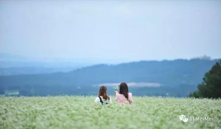 Trip丨如何在济州岛练就“济州瘫”（下部）