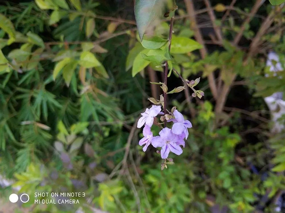 小米note3跑分评测,小米note3评测大型游戏