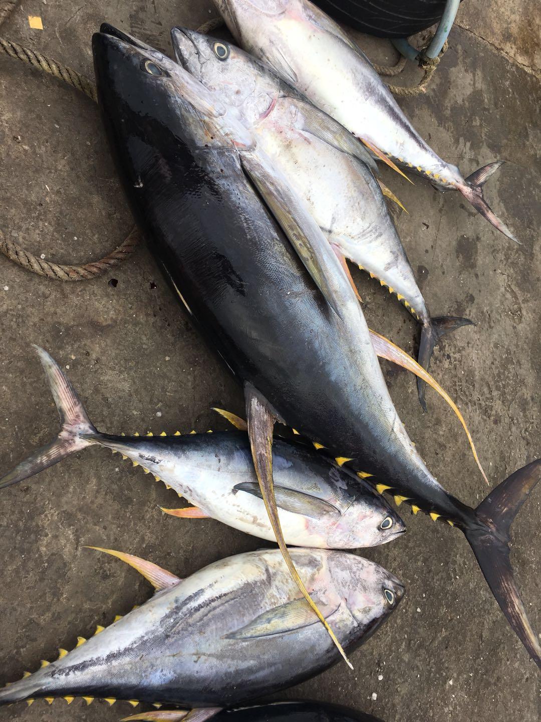 在马来西亚的沙巴码头，中国女生很受欢迎