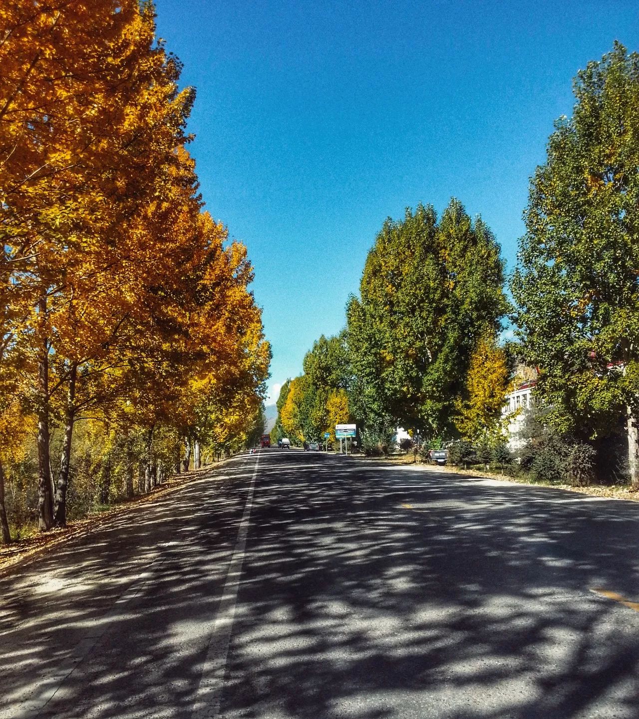 手机摄影作品赏析,手机摄影作品也可以美不胜收