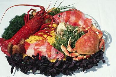 止血补血食物,具有补血滋阴止血的药物是什么