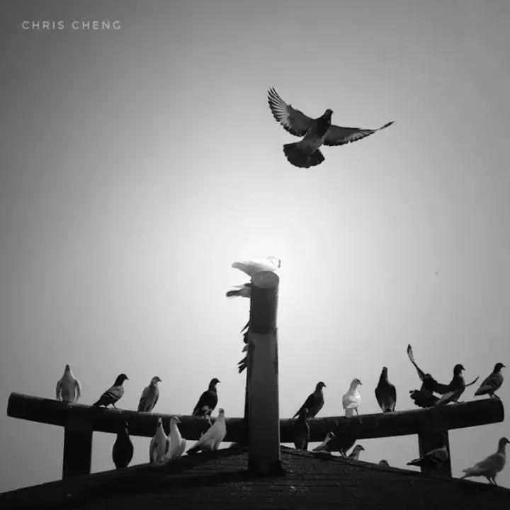 手机拍照修图惊艳瞬间,手机拍摄的好看照片