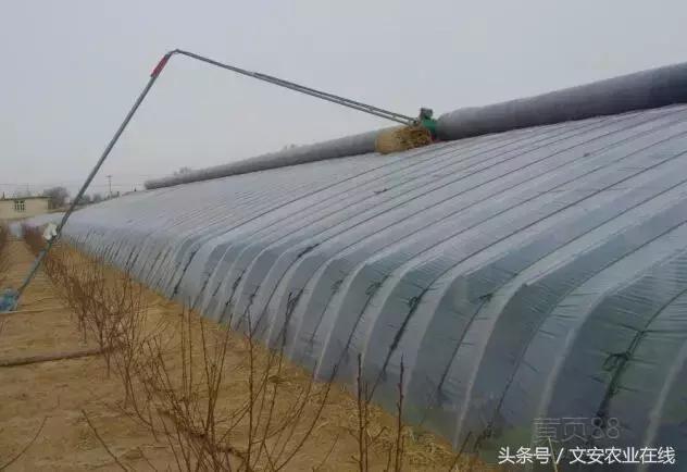 大棚卷帘机伤人事故,大棚卷帘机都有哪些