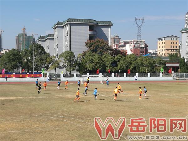 岳阳市百战巴陵2017,岳阳市百战巴陵高中足球比赛