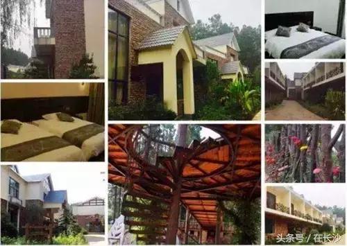 农家乐游玩向往的生活,向往的生活杭州余杭农家乐