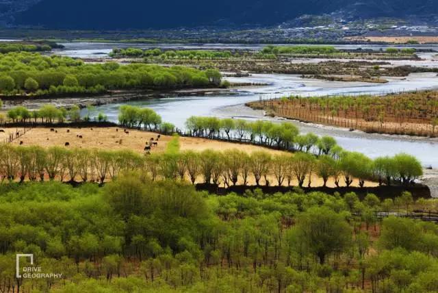 林芝为什么那么魅力,林芝深度游最佳路线