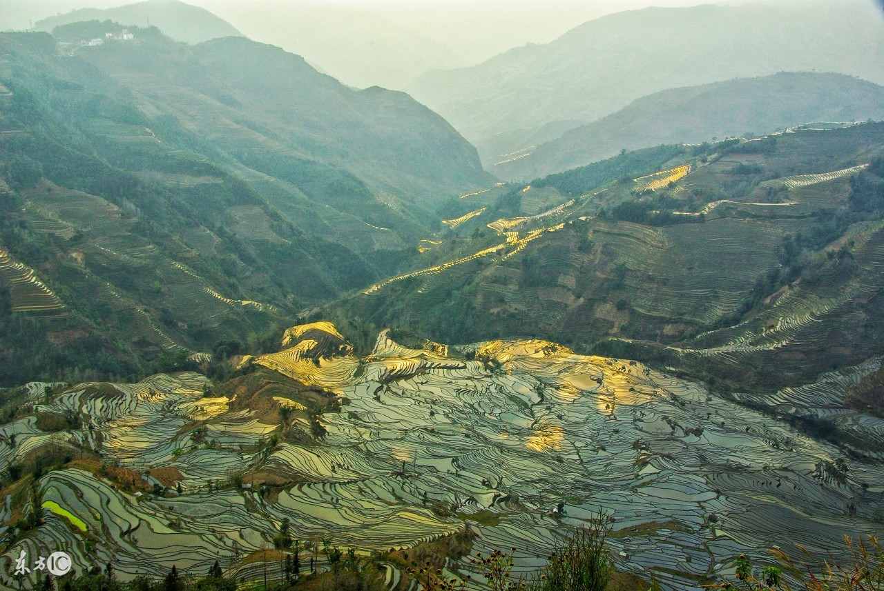 中国十大名茶西湖龙井明前茶,浙江名茶西湖龙井属于哪个茶