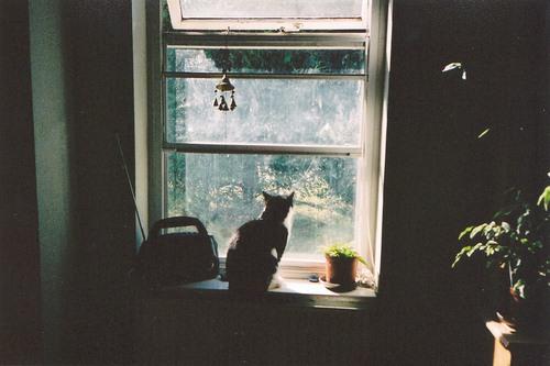 适合早上起床的闹钟铃声歌曲推荐,什么音乐适合当闹钟铃声