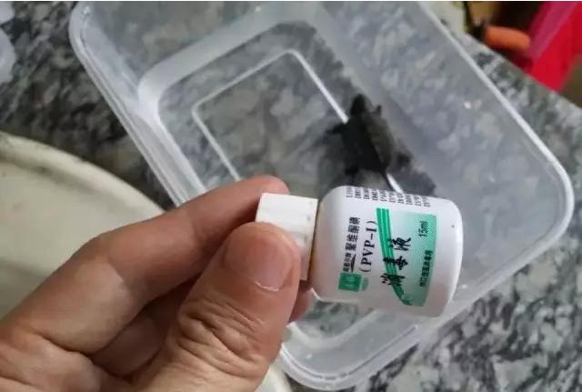 乌龟蛋在自然条件下怎么孵化,养一只乌龟下蛋了能孵化出来吗