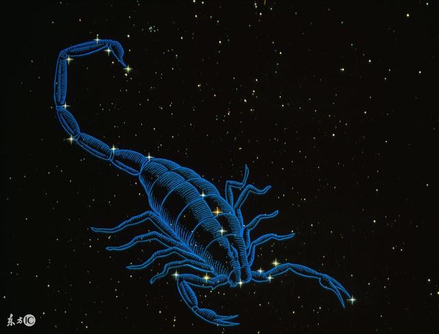 天蝎座性格内向,天蝎座属于内向性格还是外向性格