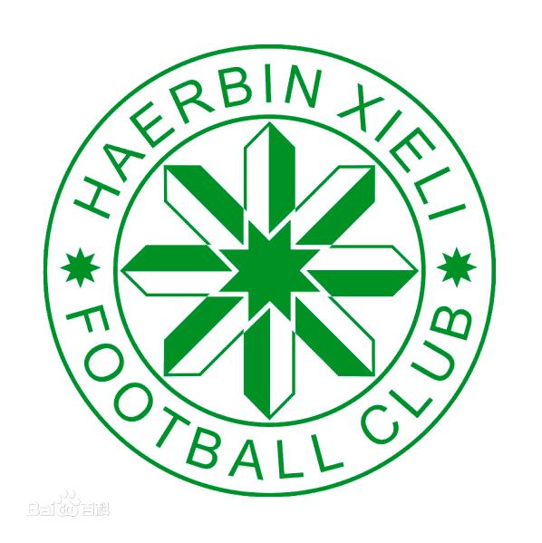 哈尔滨足球的前世今生,哈尔滨足球队最厉害的
