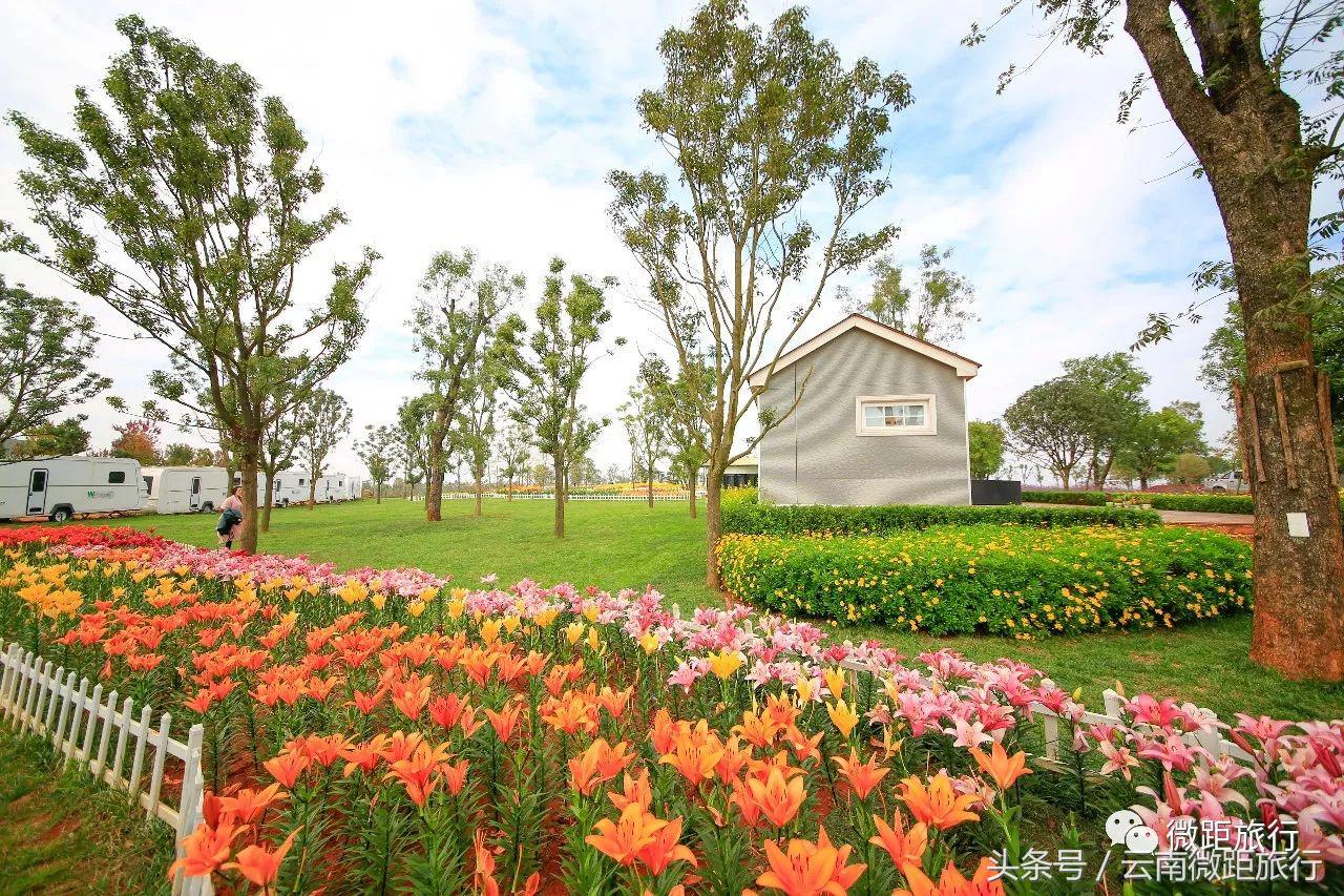 春节免费开放弥勒太平湖森林公园,弥勒太平湖森林公园6月去有花吗