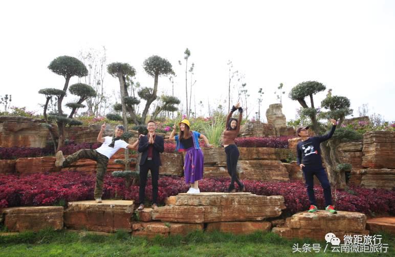 春节免费开放弥勒太平湖森林公园,弥勒太平湖森林公园6月去有花吗