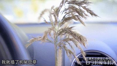 白话汽车,白话汽车大众辉腾