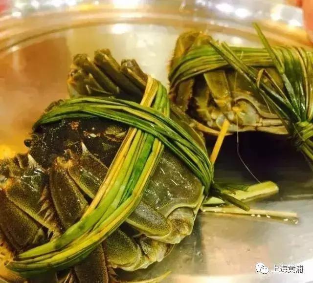 请备好姜醋｜你的九雌十雄好友：Hā！已上线~