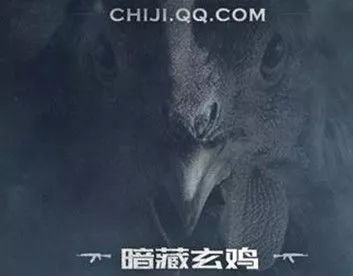 暗藏玄机的腾讯吃鸡手游来了，洗牌的是整个游戏市场