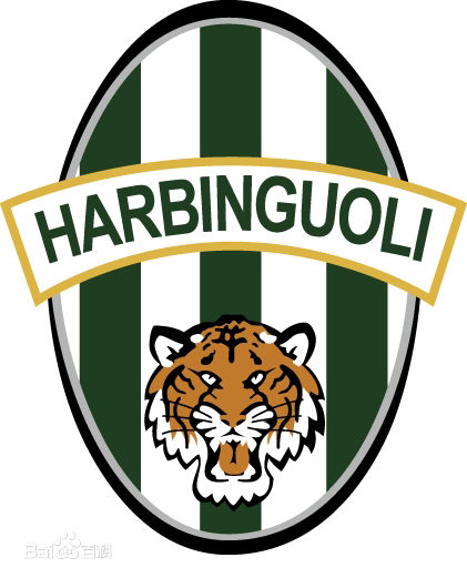 哈尔滨足球魔鬼主场,哈尔滨足球史最经典的一战