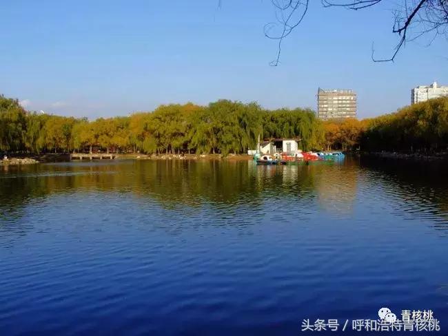 大家好这是我的家英文,大家好这是我的家图片卡通