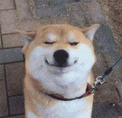 双十一来了什么都很便宜,双十一来了你下单的吗