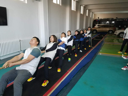 拔河比赛的感想启发,拔河比赛有感作文