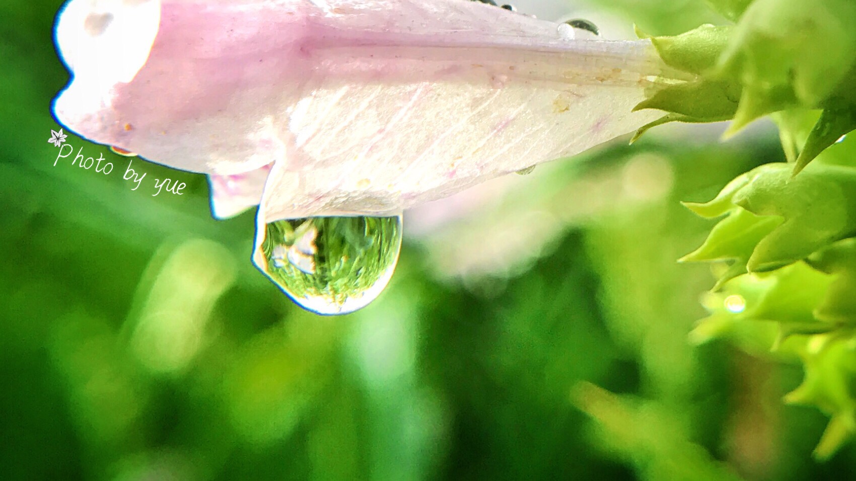 小米照片后期添加时间水印,苹果照片后期添加时间水印