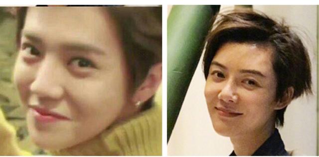 庞飞燕鹿晗车晓,现在的车晓脸型