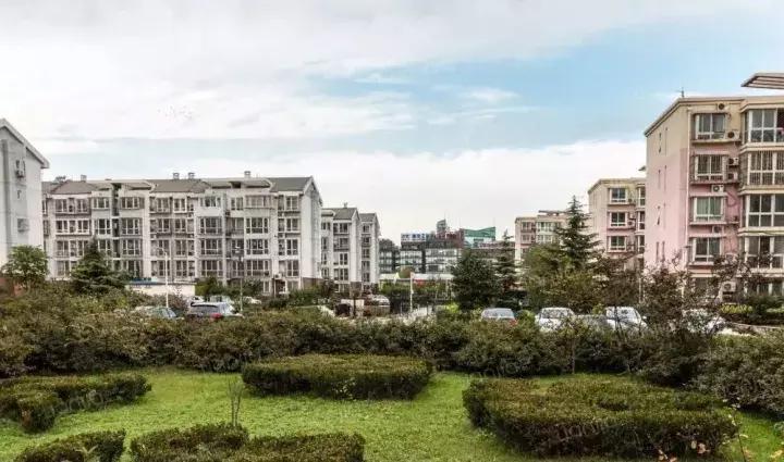 为了逃离雾霾,我在公园旁边买了房子(下)